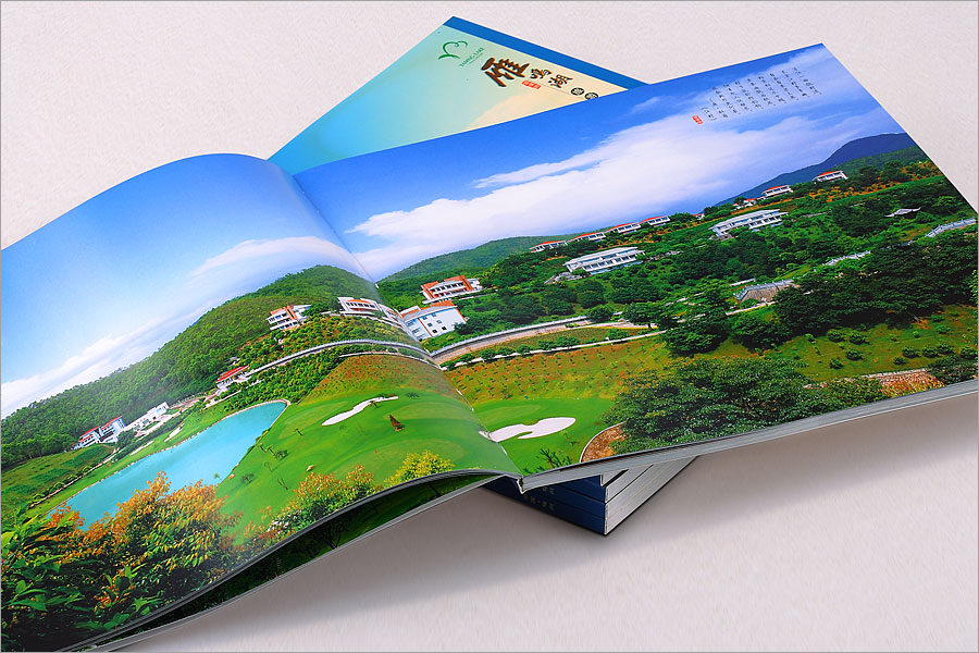 黑眼睛廣告為雁鳴湖旅游度假村印刷的大型風光畫冊之內頁別墅群部分