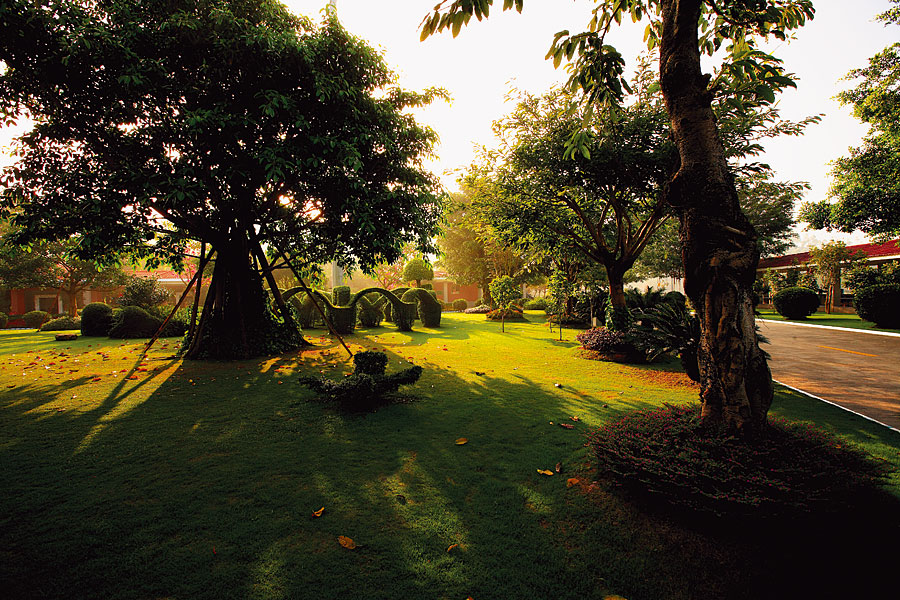  黑眼睛廣告為雁鳴湖旅游度假村宣傳推廣拍攝的風光圖片之原生態草坪